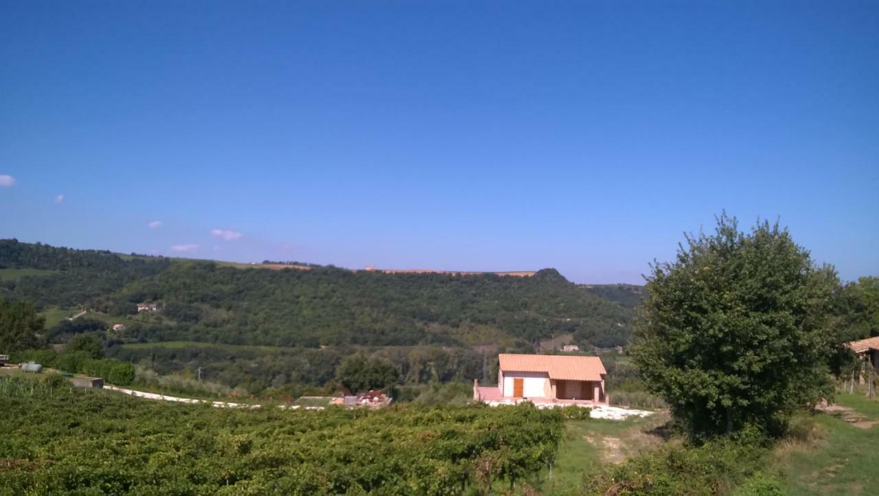 Agriturismo La Vite E L'Ulivo Baschi المظهر الخارجي الصورة