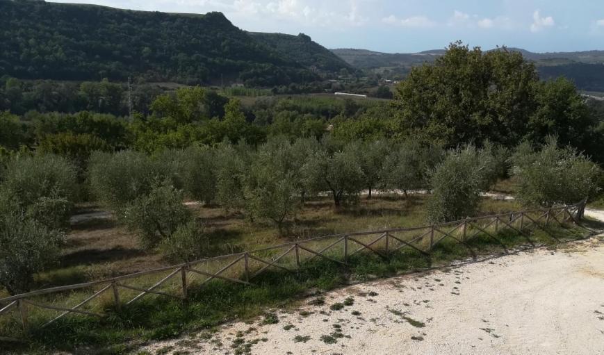 Agriturismo La Vite E L'Ulivo Baschi المظهر الخارجي الصورة